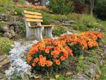 Beautiful Rockey Flower Garden With Bench