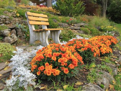 Planting Fall Garden Flowers, How To Make A Fall Flower Garden