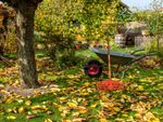 Rake And Wheelbarrow In A Yard Covered With Leaves