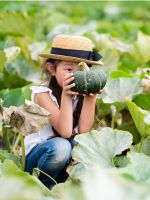 Child Holding A Small Green Pumpkin