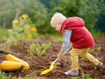 Child Digging In Garden