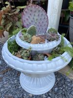 Fountain Container Cacti Garden