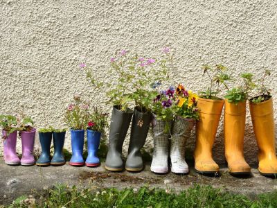 Multiple Pairs Of Rainboots Filled With Plants