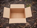 Cardboad Box In Garden