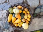 Wooden Basket Of Decorative Gourds