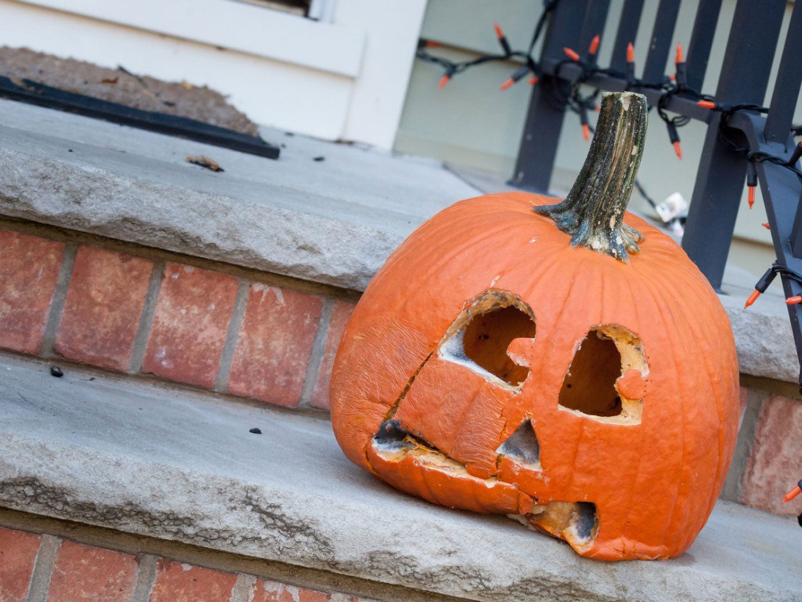 What To Do With Old Pumpkins Uses For Pumpkins After Halloween