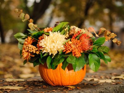 Pumpkin Planter Full Of Autumn Colored Flowers