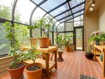 Sunroom Full Of Large Potted Plants