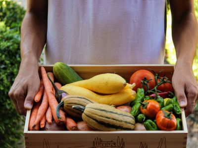 Person Holding Box Of Vegetables