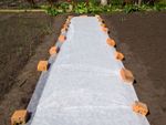 Material Over Garden Soil To Protect From Frost