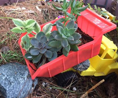 Toy Truck Used As A Planter For Succulents