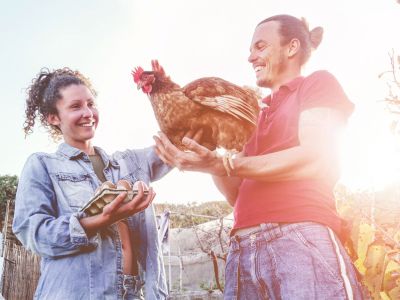 People Holding Farm Fresh Eggs And Hen