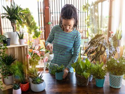 Woman Watering Potted Plants