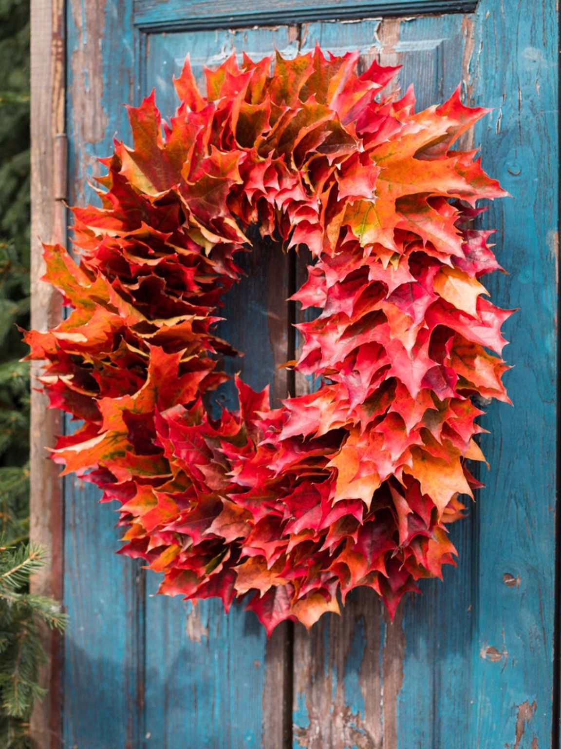 Autumn Leaf Wreath Ideas: How To Make An Autumn Leaf Wreath