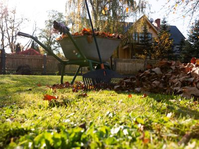 Garden Tools Next To A Wheelbarrow Full Of Leaves