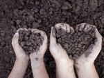 Small Hands And Big Hands Holding Soil
