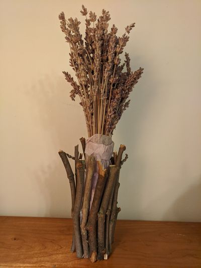 Plants In A Vase Made Of Twig Branches