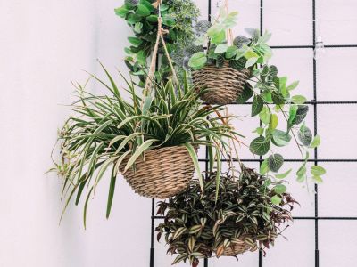 Hanging Basket Pots Full Of Plants
