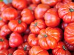 Multiple Beefsteak Tomatoes