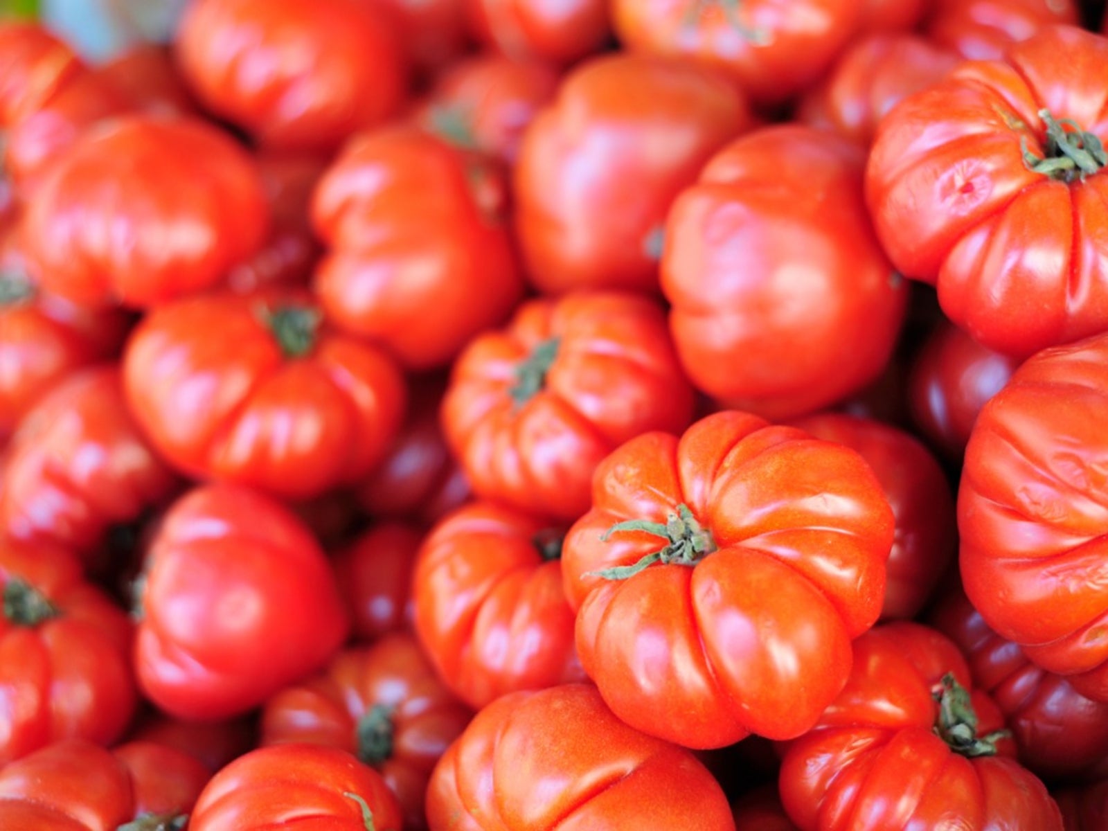 Grow Delicious Large Red Beefsteak Tomatoes with NAR Heirloom Variety