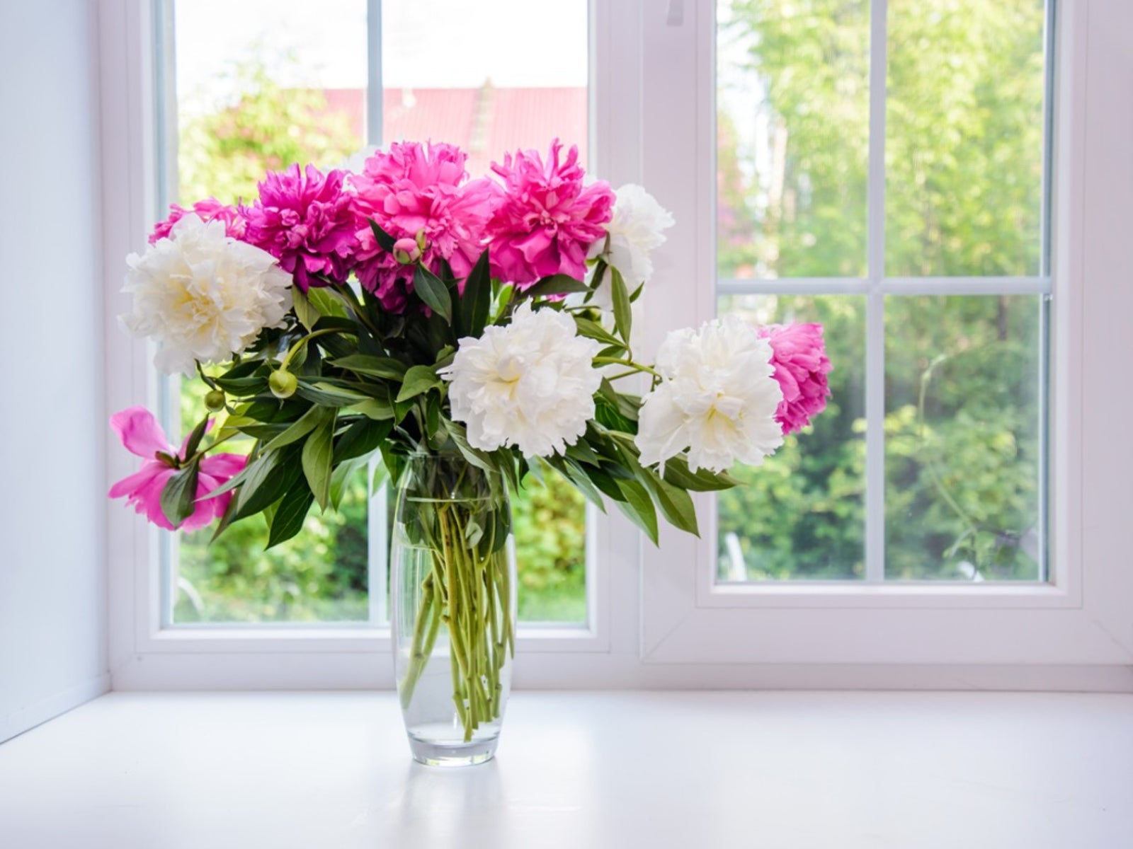 What To Put In Vase To Keep Flowers Alive
