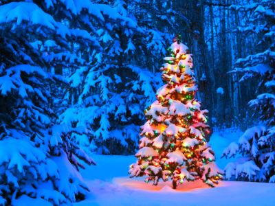 Colorfully Lit Up Christmas Tree In Snowy Landscape