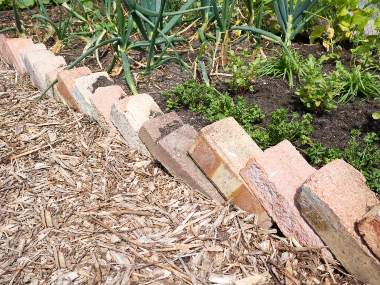 Creative Edging Borderore, How To Lay Rocks For Garden Border