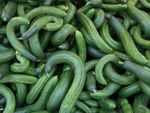Pile Of Curved Green Cucumbers