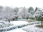 Garden Covered In Snow