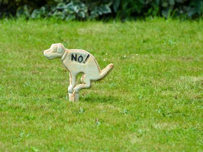 No Dog Pooping Sign On Lawn