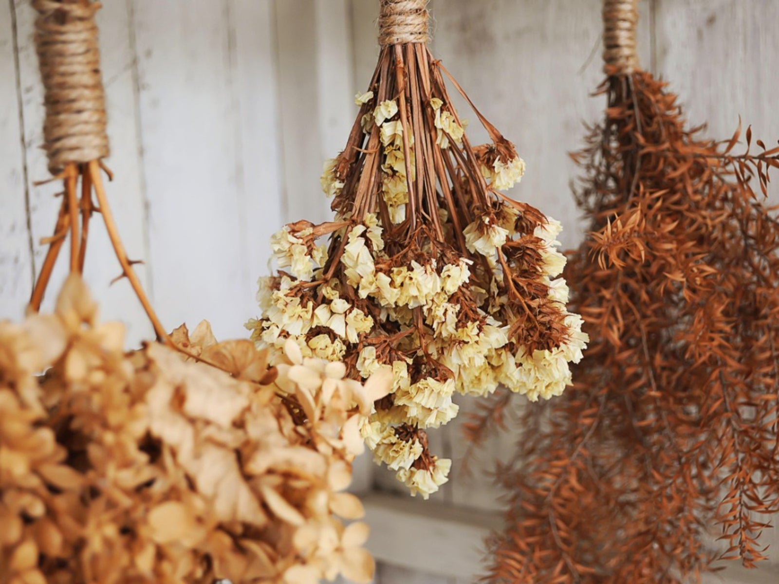 Dried Flower Arrangements - Growing Plants And Flowers To Dry