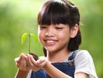 Child Holding A Small Seedling In Soil