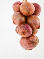 hanging bundle of brown onions