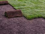 Sod Being Laid Down On A Lawn