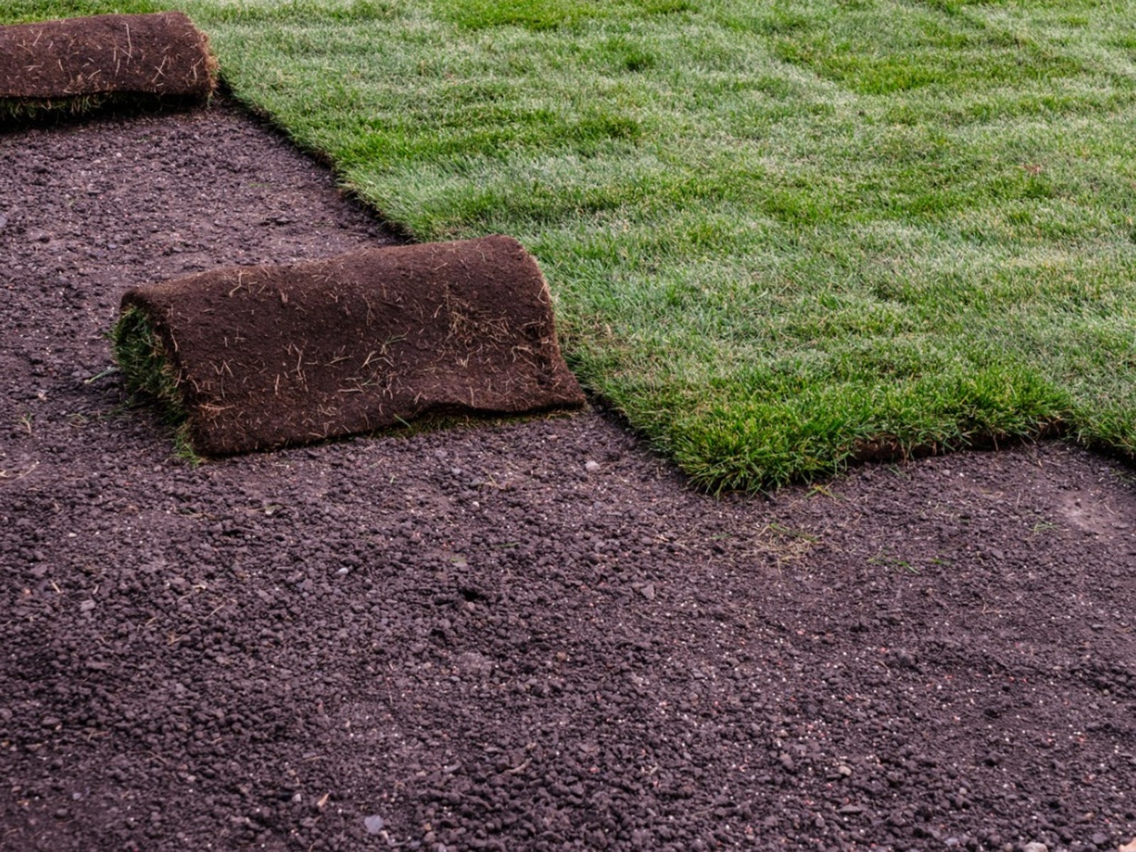 What Are The Important Things For Laying The Sod?