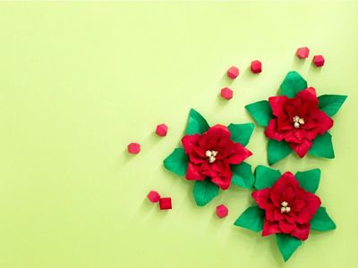 Christmas Flowers Made Of Paper
