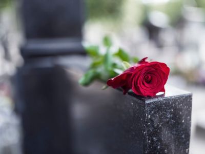 rosa roja en la tumba