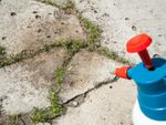 removing weeds from cracks