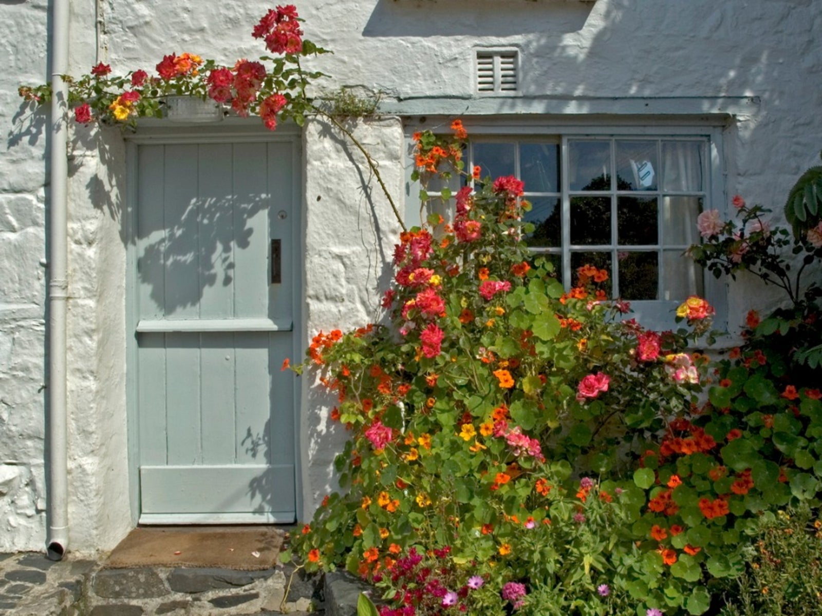 Front Door Garden Design   Best Plants For Entryways