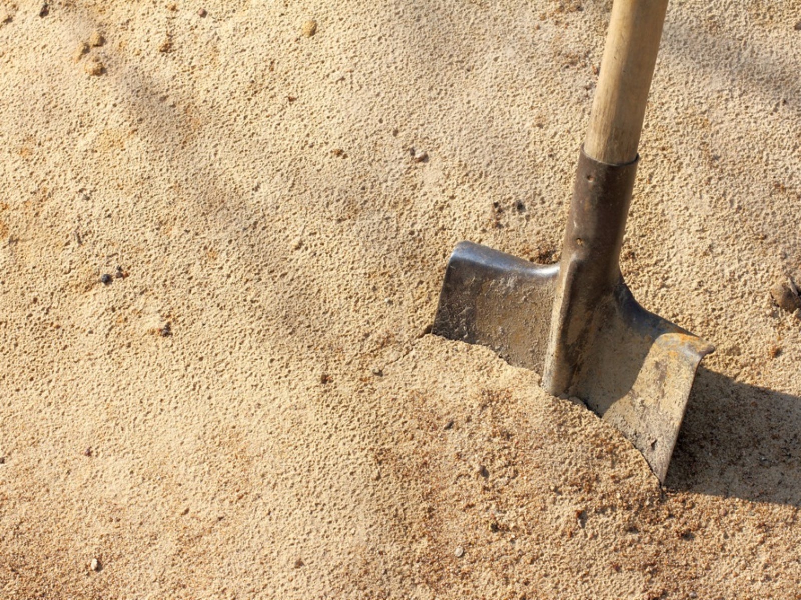 Amending Sandy Soil What Is Sand Soil And How To Improve Sandy Soil