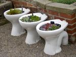 Toilet Bowls Used As Garden Planters