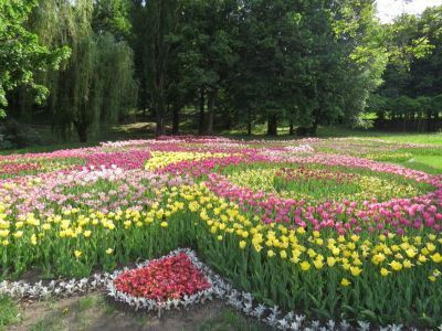 Flower Garden Design