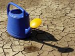 Watering Can Sitting On Dry Cracked Dirt
