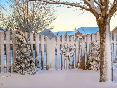 Fence And Plants In A Front Yard Covered In Snow