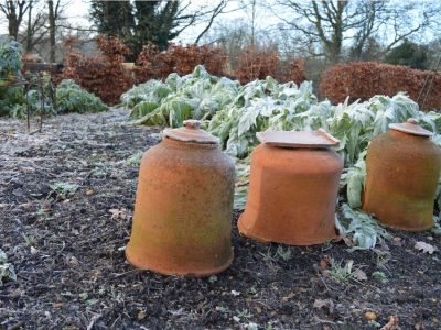 Plants And Pots Covered In Frost