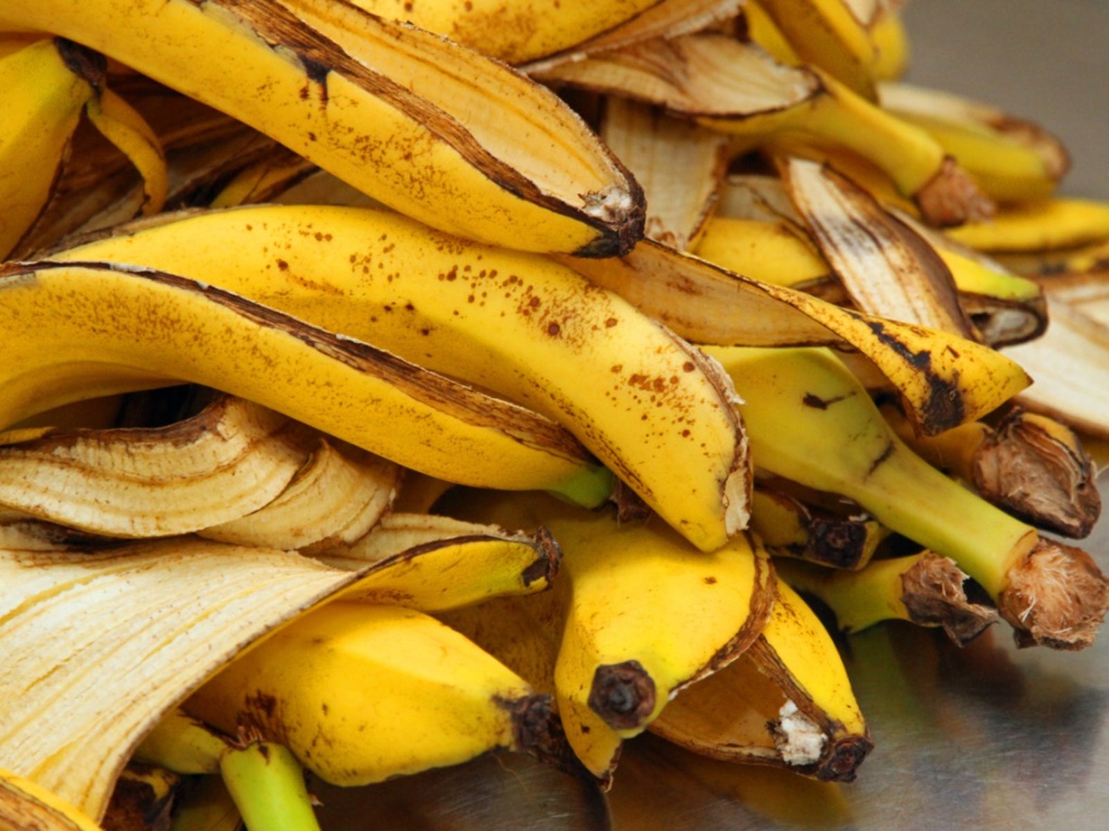 Kan bananenboom groeien uit bananenschil?