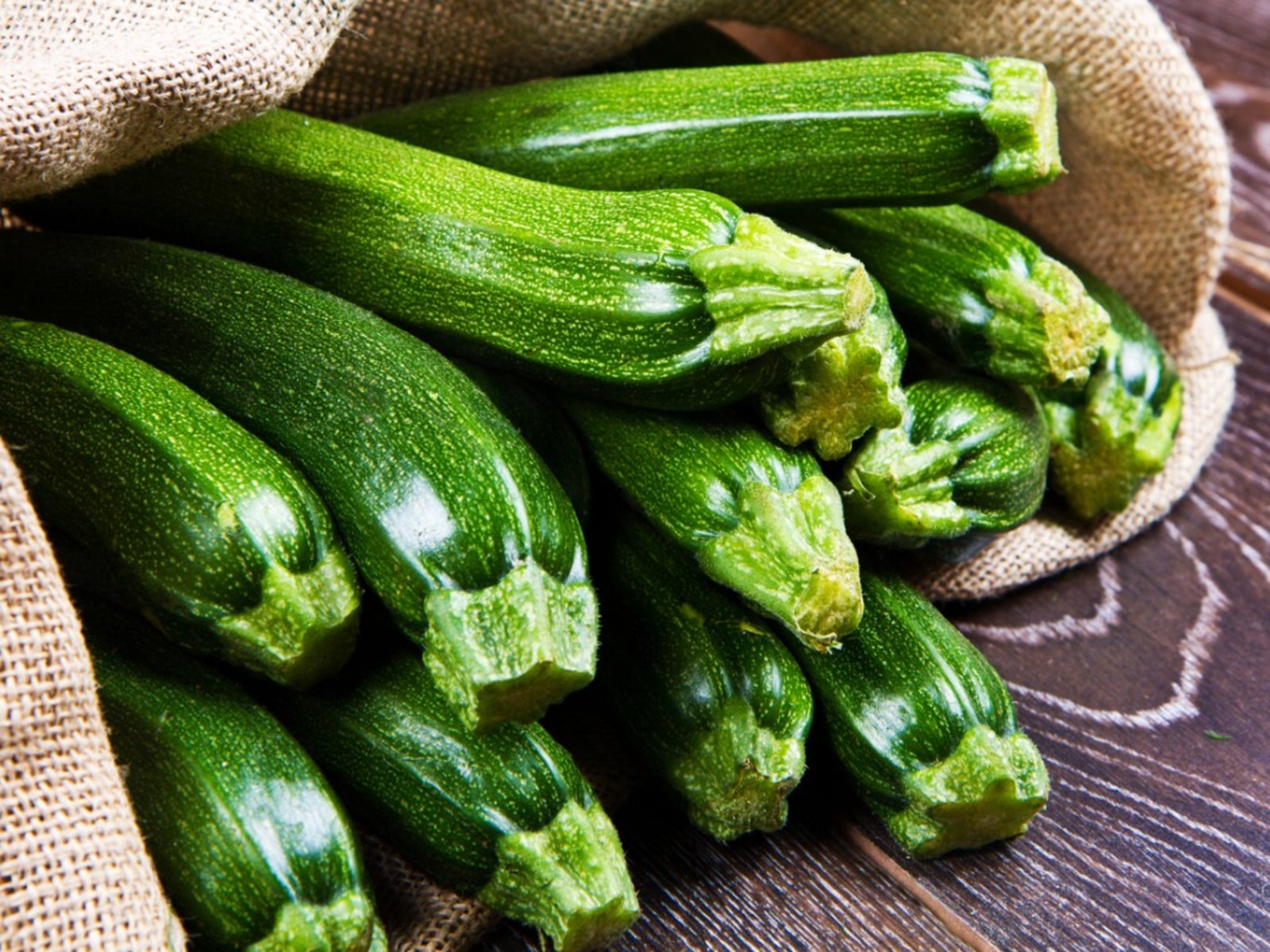 Tips For Growing Zucchini And Planting Zucchini