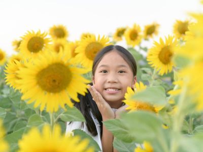 A Child In A Sunflower Field