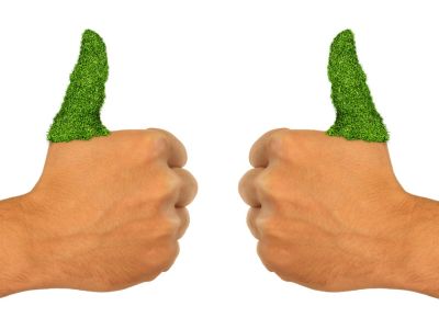 Two Green Thumbs Up