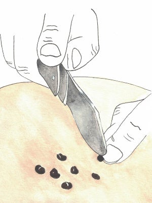 An illustration of hands using a knife to knick seeds